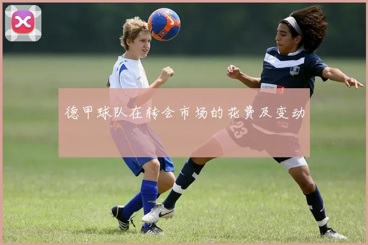 德甲球队在转会市场的花费及变动