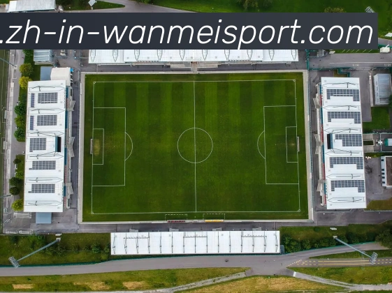 完美体育APP 高清赛事图